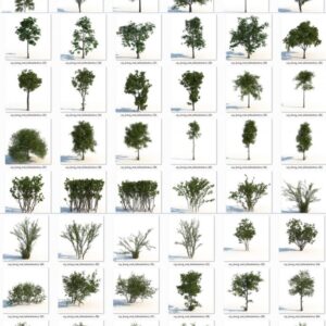 thư viện cây cho 3ds max