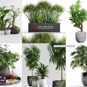 thư viện cây trong 3ds max