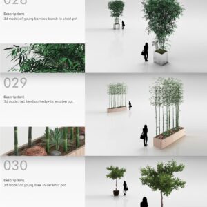 bộ thư viện cây cỏ cho 3ds max